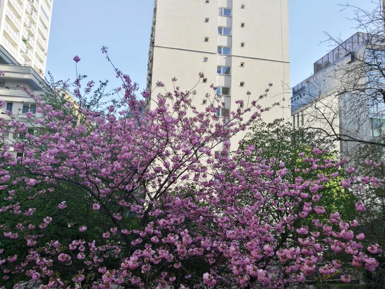 بيت شباب Hipstel وارسو المظهر الخارجي الصورة